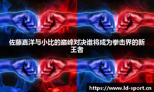 佐藤嘉洋与小比的巅峰对决谁将成为拳击界的新王者