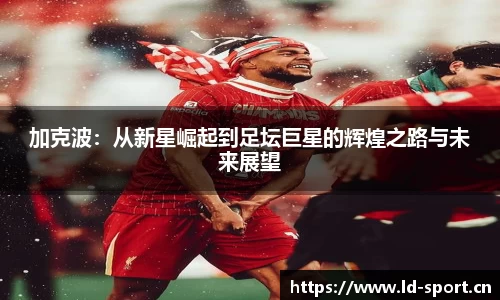 加克波：从新星崛起到足坛巨星的辉煌之路与未来展望