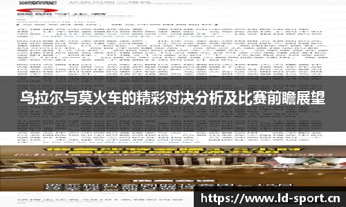 ld乐动体育平台